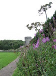 SX08045 Dunraven walled garden tower framed by pink flowers.jpg